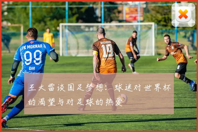 王大雷谈国足梦想：球迷对世界杯的渴望与对足球的热爱