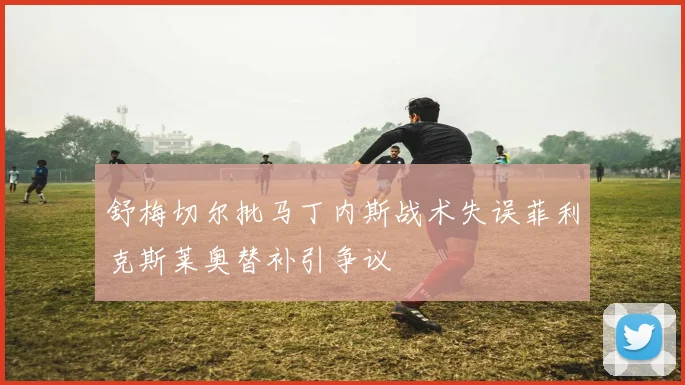 舒梅切尔批马丁内斯战术失误菲利克斯莱奥替补引争议